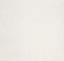 Cool Porcelain White
