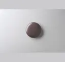 Prugna