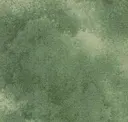 Verona Green