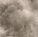 Raw Sienna