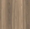 Trace