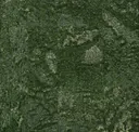 Hooker's Green
