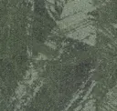 Terre Verte