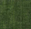 Hooker's Green