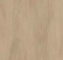 Allspice