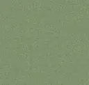 Olivine