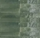 Grass