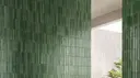 Grass