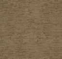 Acorn
