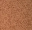 Terra Cotta