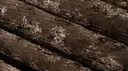 Iron