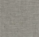 Fossil