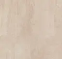 Plaster
