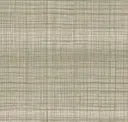 Dune Grass