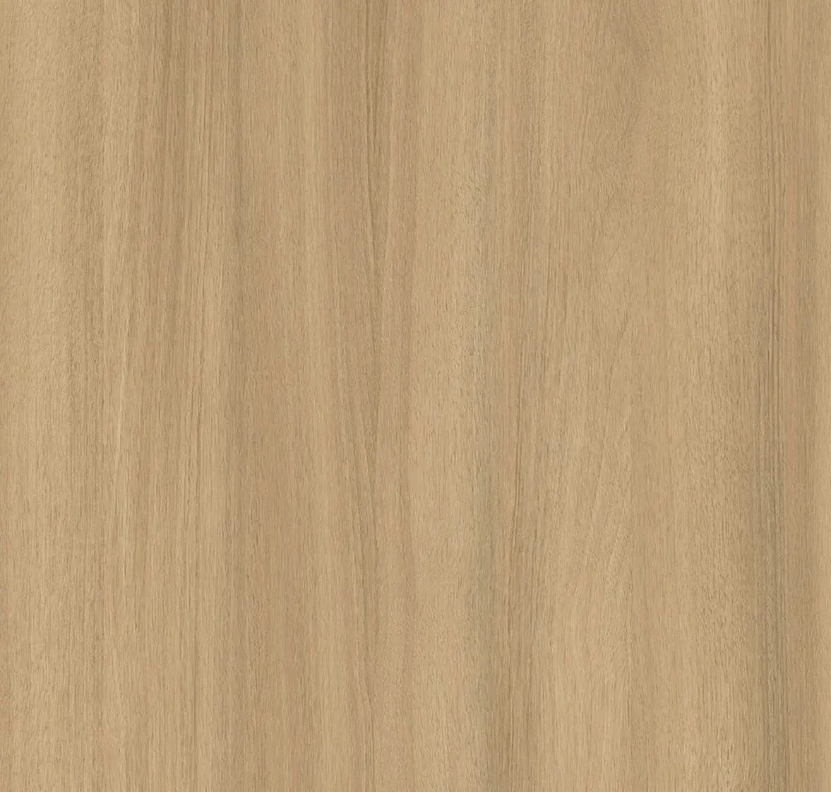 Main