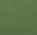 Taxus-Grün