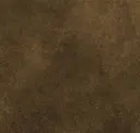 Braun