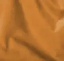 Fawn