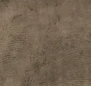 Mooreiche