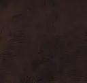 Wenge