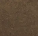 Mooreiche
