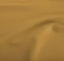 Muskat