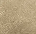 Falcon