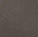 Steel
