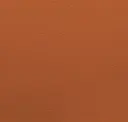 Paprika