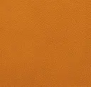Mandarin