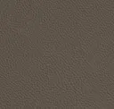 Slate