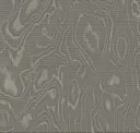 Gray Brown