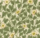 Taupe Green