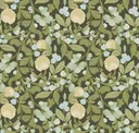 Deep Olive