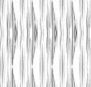 Black Stripe