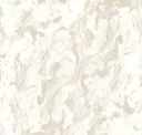 Pigeon On White
