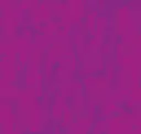 Fuscia