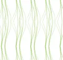 Lime Yellow Stripe