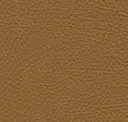 Ochre Yellow