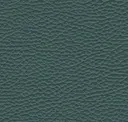 Petrol Blue