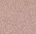 Blush Pink