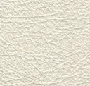 Winter White