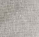 Iron