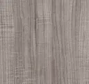Thunder Maple