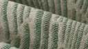 Tea Green