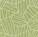 Fennel
