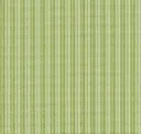 Celery