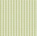 Fennel