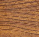 Elm