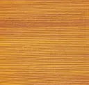 Cedar